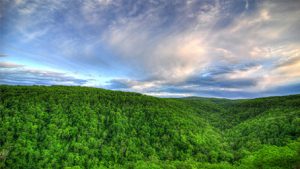 Northwest Scenic Drives | Rath Auto Resources NWA