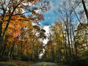 Prepare your car for fall - Rath Auto Resources NWA